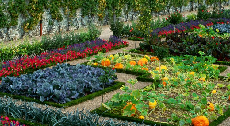 Comment créer un potager ?