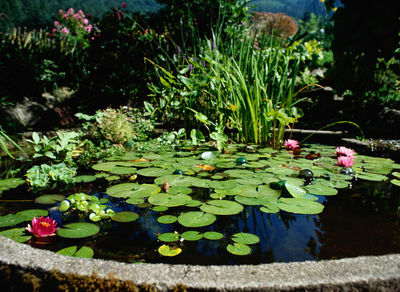 Comment aménager un coin détente dans son jardin ?