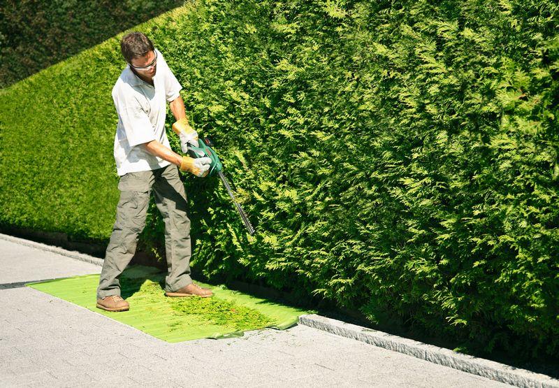 Comment bien entretenir les arbres de son jardin ?